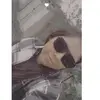 Elizabeth Arrellin Castañeda - @elizabeth.arrelli - TikTok