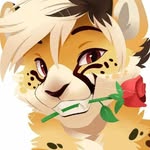 elizabethartz - @elizabethartzs - Instagram