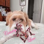 Lizzie Artz - Facebook