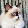 Elizabeth - @elizabeth.baba - TikTok