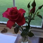 Elizabeth Babbitt - @elizabethbabbitt321 - Instagram