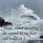 Elizabeth Bachle - Facebook