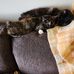 Elizabeth Badgerow - Facebook
