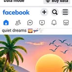 Elizabeth Bardon - Facebook