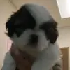 elizabethbasham - @elizabethbasham - TikTok
