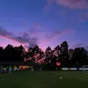 elizabeth_baum - @elizabeth_baum - TikTok