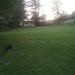Taylor King - @elizabethbechtel61 - Instagram