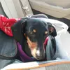 elizabethbehrens1221 - @elizabethbehrens1 - TikTok