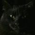 Elizabeth Bold - Facebook