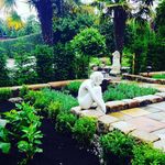 Elizabeth Lloyd, Bold Hall Nursery - @bold_hall_nursery - Instagram