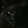 elizabethbold73 - @elizabethbold73 - TikTok