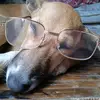 Elizabeth Manata Bongo - @user2556810440659 - TikTok