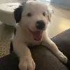 Elizabeth Bracero Salgado - @elizabeth26tita - TikTok