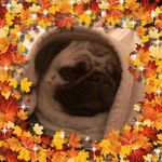 Elizabeth Branson - @elizabeth_branson1230 - Instagram