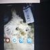 Elizabeth Bratcher - Facebook