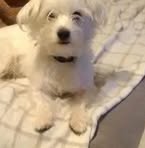 Elizabeth Broughton - Facebook