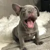 Elizabeth Bugarin - @elizabethbugarin1 - TikTok