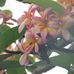 Elizabeth Bugner - Facebook