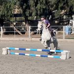 Elizabeth Burrell - @eequstrian - Instagram