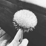 Elizabeth Cagle - @_vitkanin_ - Instagram