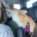 Elizabeth Caples - Facebook