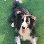Elizabeth Cahill Caplette - @libbycap77 - Instagram