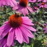 Elizabeth Carty - @seniorlizzy - Instagram