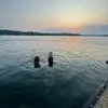 elizabethdmccarty - @elizabethdmccarty - TikTok