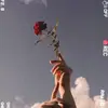 Elizabeth Cha - @elizabethcha0 - TikTok