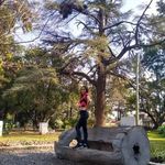 Elizabeth Chamorro - @eliichamorro97 - Instagram