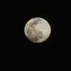 Elizabeth Chatman - @elizabethchatman31 - TikTok