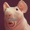 Elizabeth - @elizabethcheese80 - TikTok
