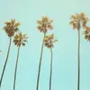 elizabethchee539 - @elizabethchee539 - TikTok