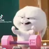 Elizz - @elizabethchi7 - TikTok