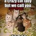 Elizabeth Clepper - Facebook