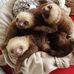 Elizabeth Cluff - Facebook