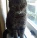 Elizabeth Cope - Facebook