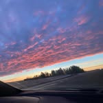 Elizabeth Cornell - @elizabethcornell340 - Instagram