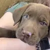 liz - @elizabeth.corn - TikTok