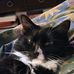 Elizabeth Cornman - Facebook