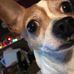 Elizabeth Cornwall - Facebook