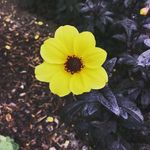 Elizabeth cornwall - @elizabeth.cornwall - Instagram