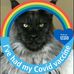 Elizabeth Cottingham - Facebook
