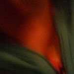 harley elizabeth.craddock - @harley.craddock550 - Instagram
