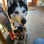 Liz Craddock - Facebook