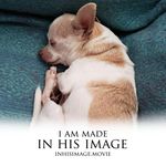Elizabeth Crowder - @crowder7278 - Instagram