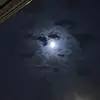 Elizabethdark - @elizabethdark - TikTok