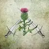 Music Lover 165 - @elizabethdejong87 - TikTok