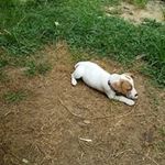 Elizabeth Dellinger - @dellingerelizabeth - Instagram