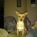 Beth Dement - Facebook